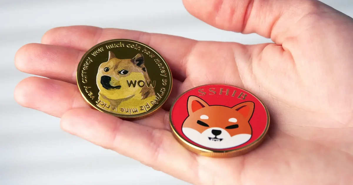 Memecoins Disparam Até 25.000% Com Rali Cripto; Qual o Risco?