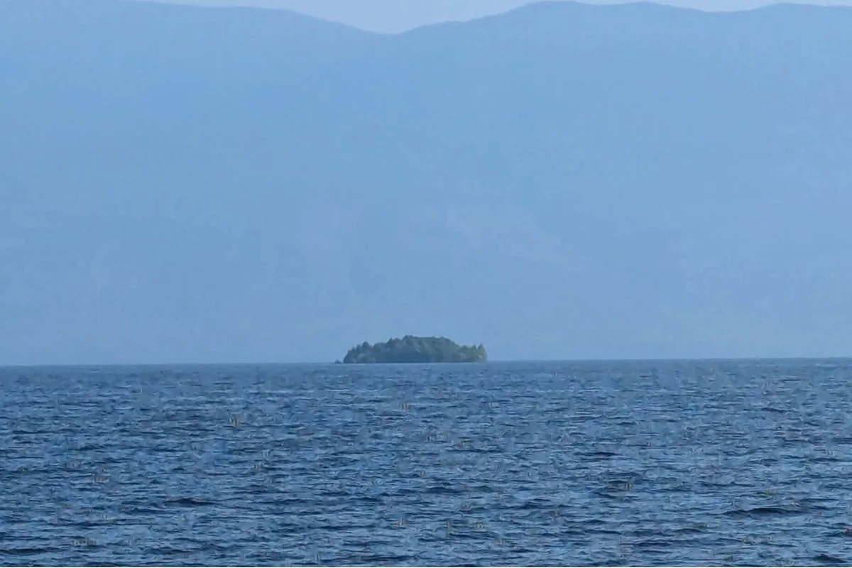 Ilha misteriosa com árvores verdes surge à deriva em lago no Canadá e intriga especialistas