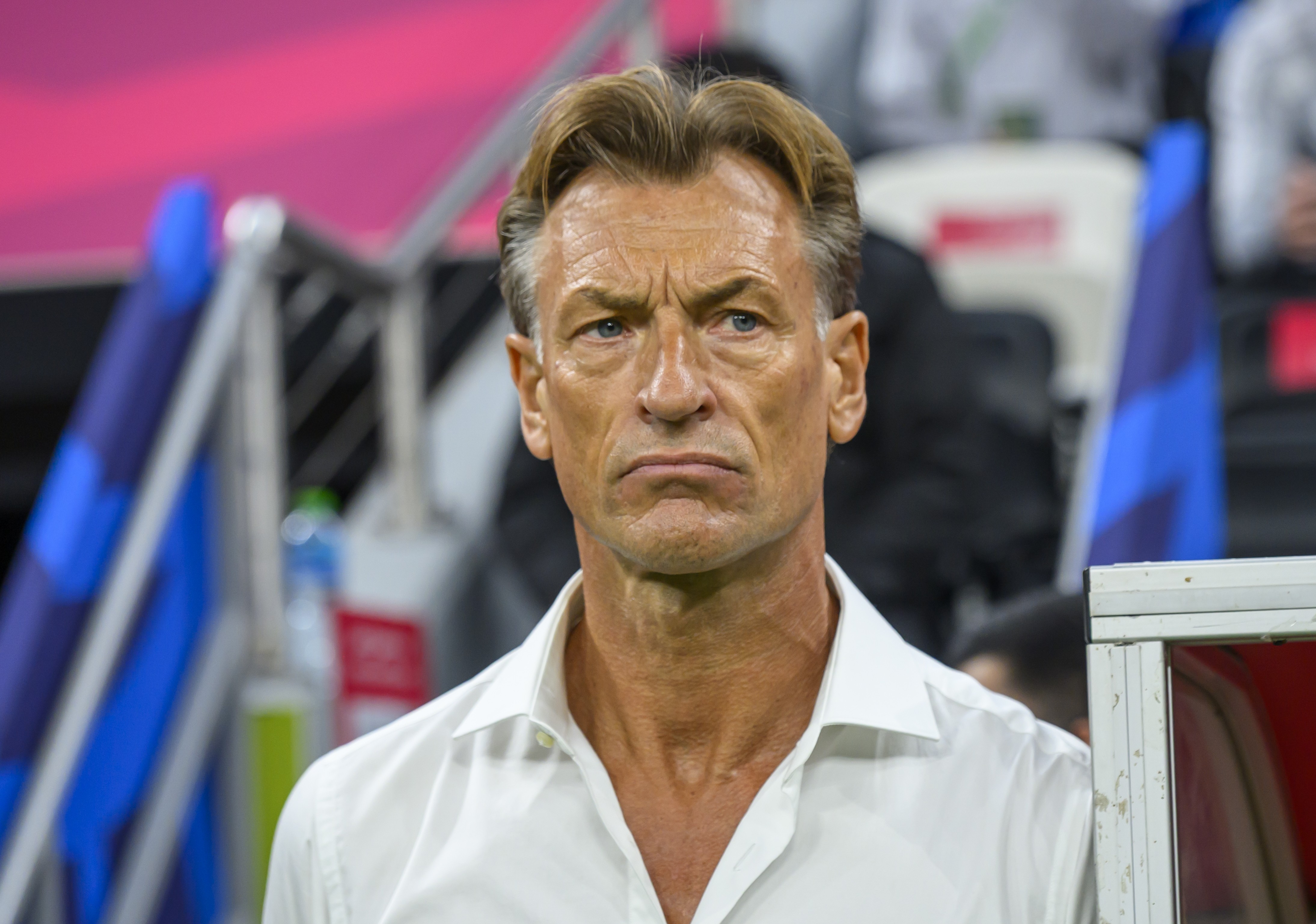 Hervé Renard Retorna ao Comando da Costa do Marfim Após Título Africano