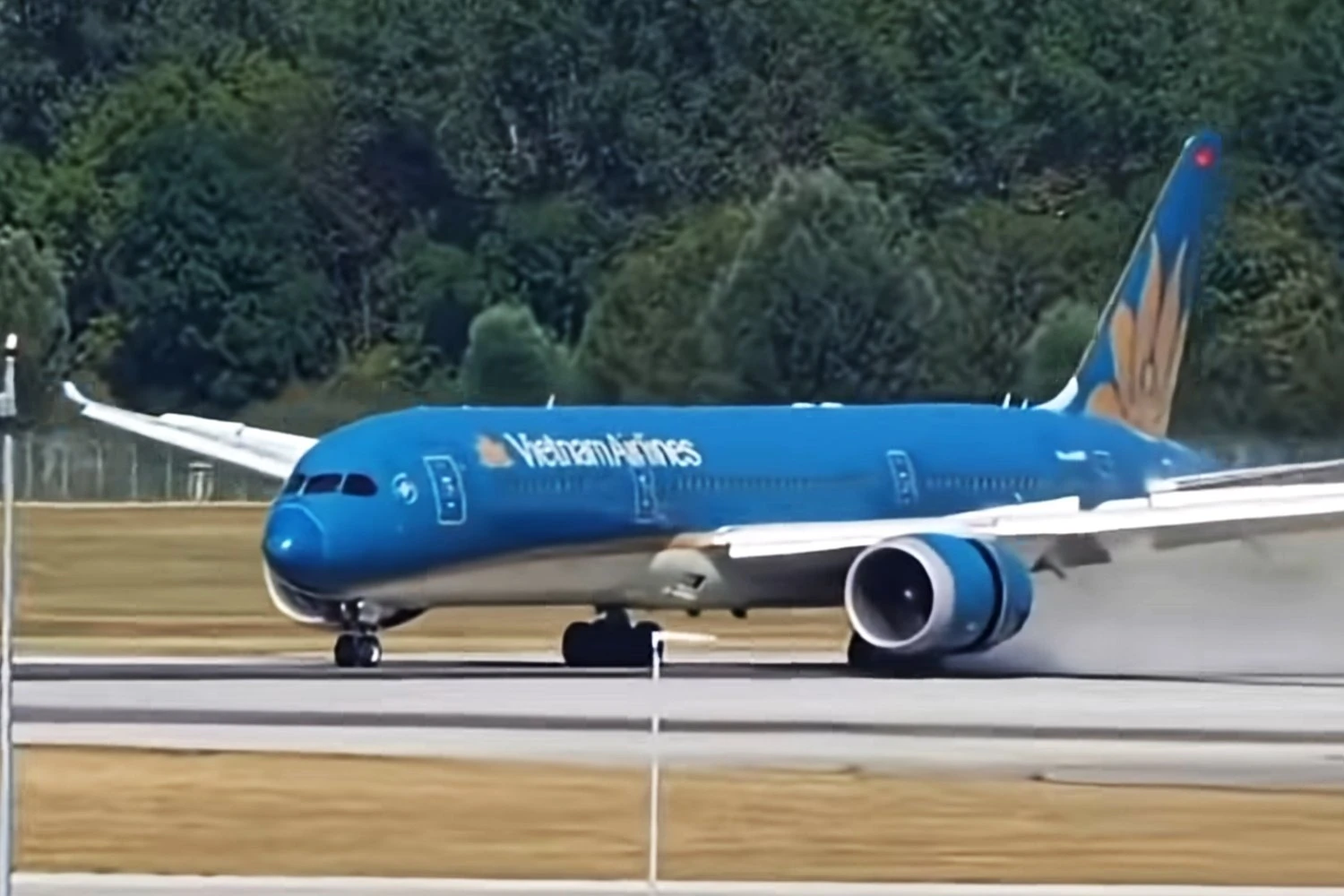 Boeing 787 da Vietnam Airlines atinge pássaros durante decolagem em Munique
