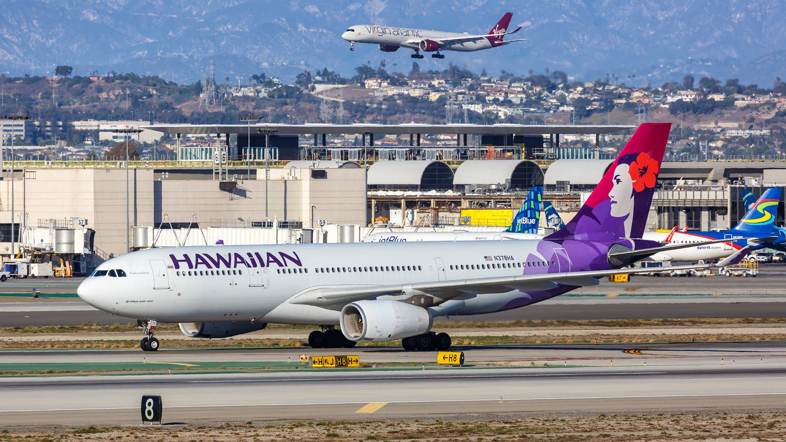 Catering aéreo do LAX que serve 15 companhias enfrenta acusações de larvas, mofo e baratas
