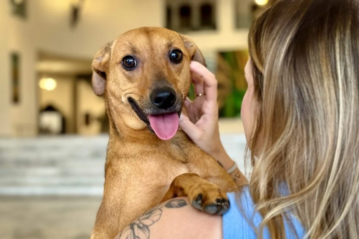 Produtos de limpeza podem intoxicar pets