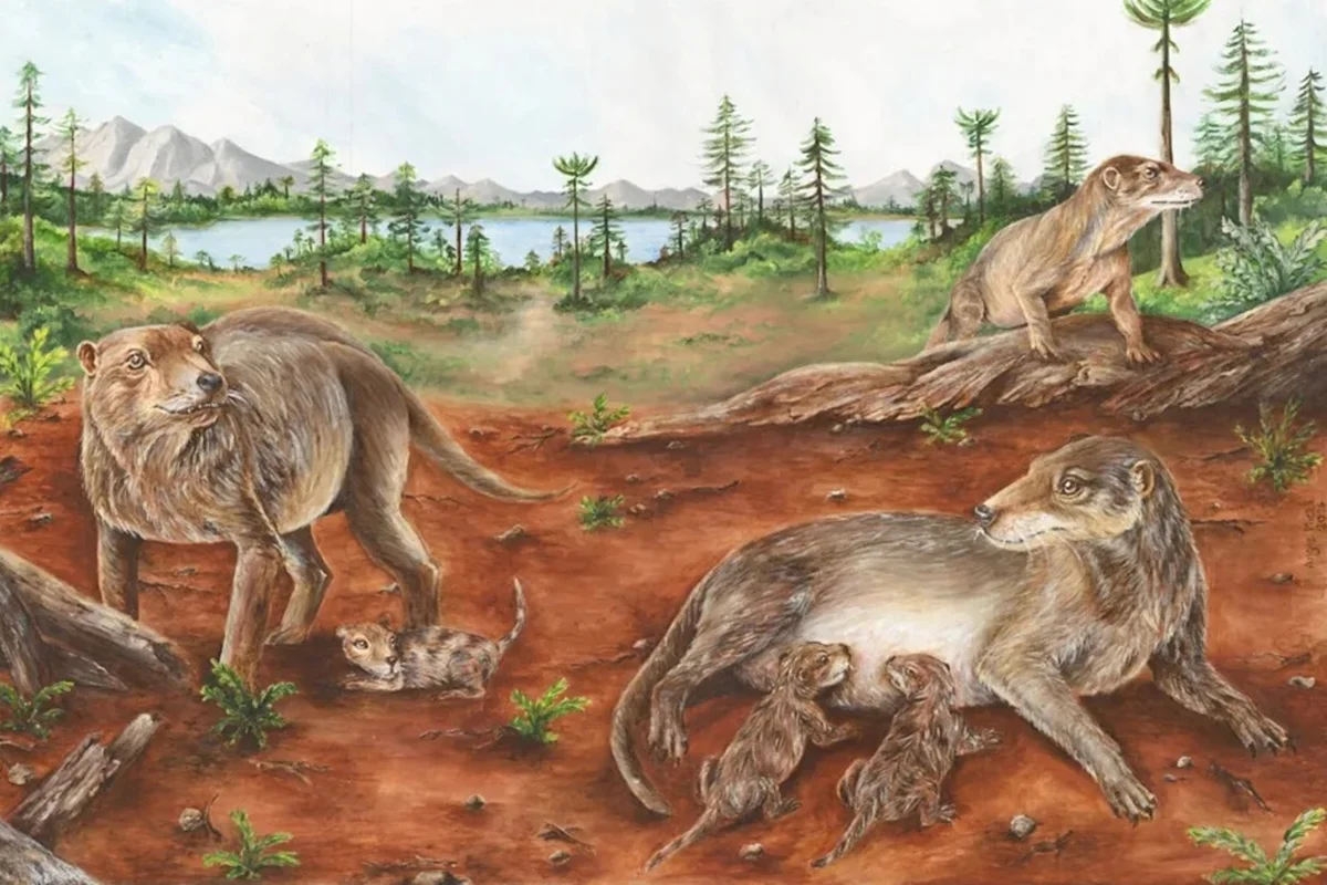 Fóssil de 236 milhões de anos reescreve a história da viviparidade em mamíferos