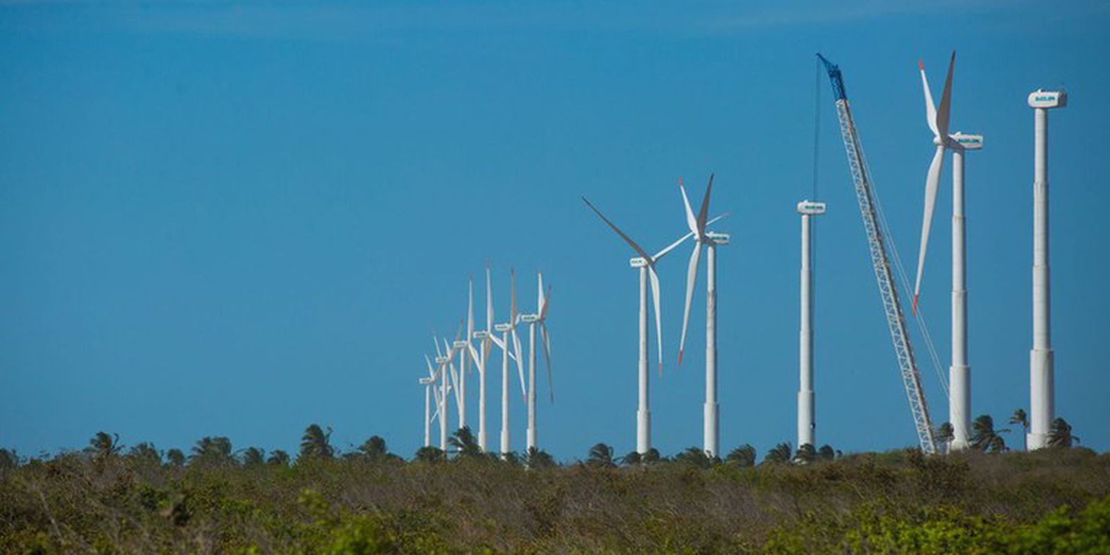Nordeste Verde: Projeto Futuros Verdes mapeia oportunidades e desafios para a economia de baixo carbono