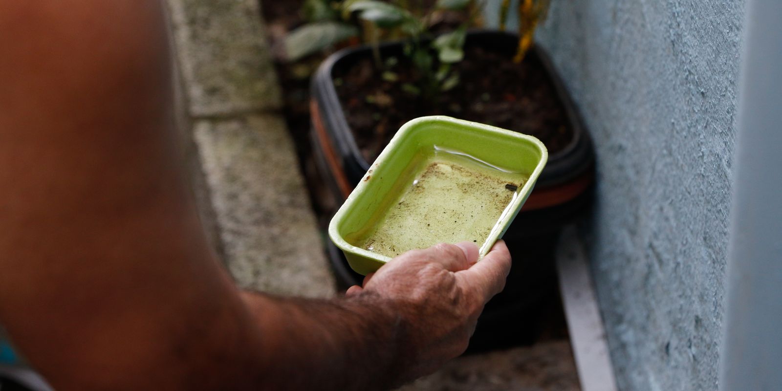 El Niño Aumenta Risco de Dengue e Chikungunya no Brasil