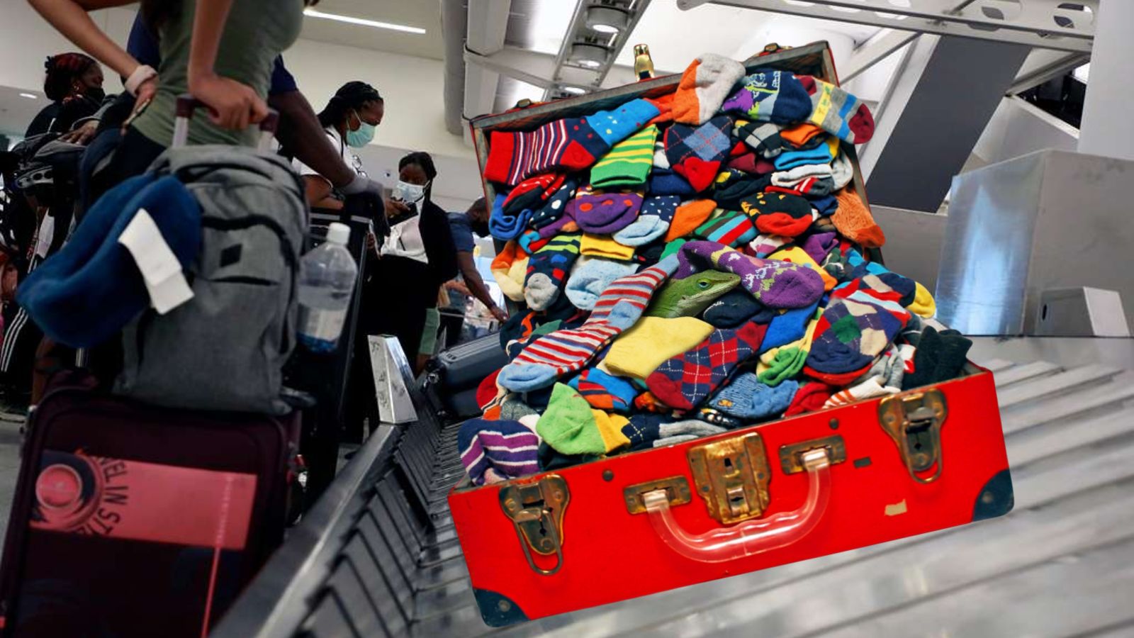 Man Caught Smuggling Over 200 Lizards Into Japan Hides Them in Socks