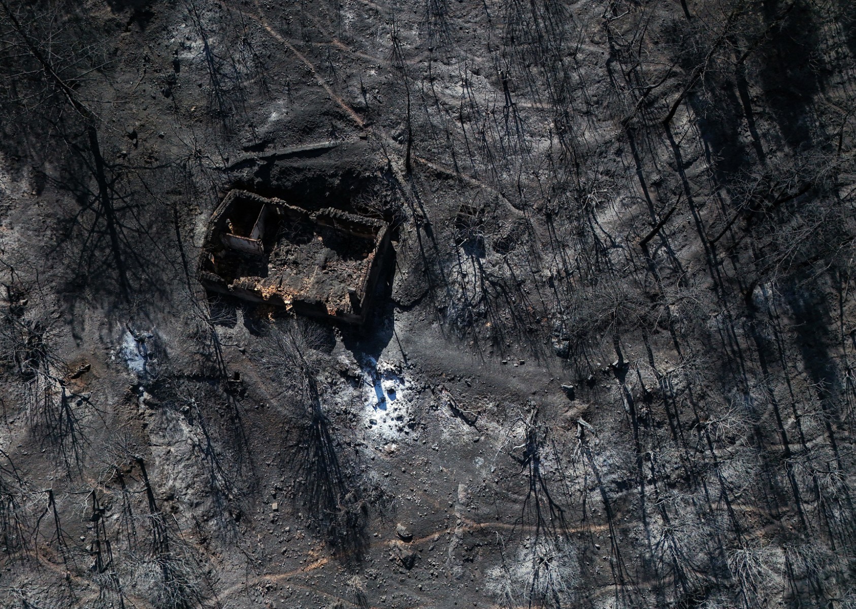 Incêndio florestal na Espanha atinge 4 mil hectares e ventos dificultam controle