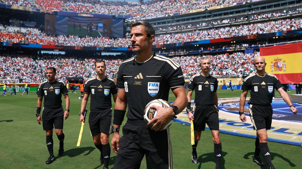 World Cup Final Referee Slavko Vincic Retires Days After Historic Match