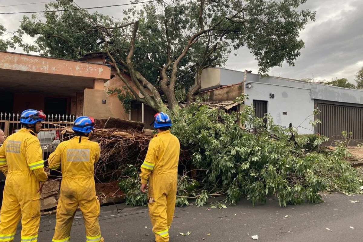 Defesa Civil distribui milhares de itens após temporal em Ribeirão Preto