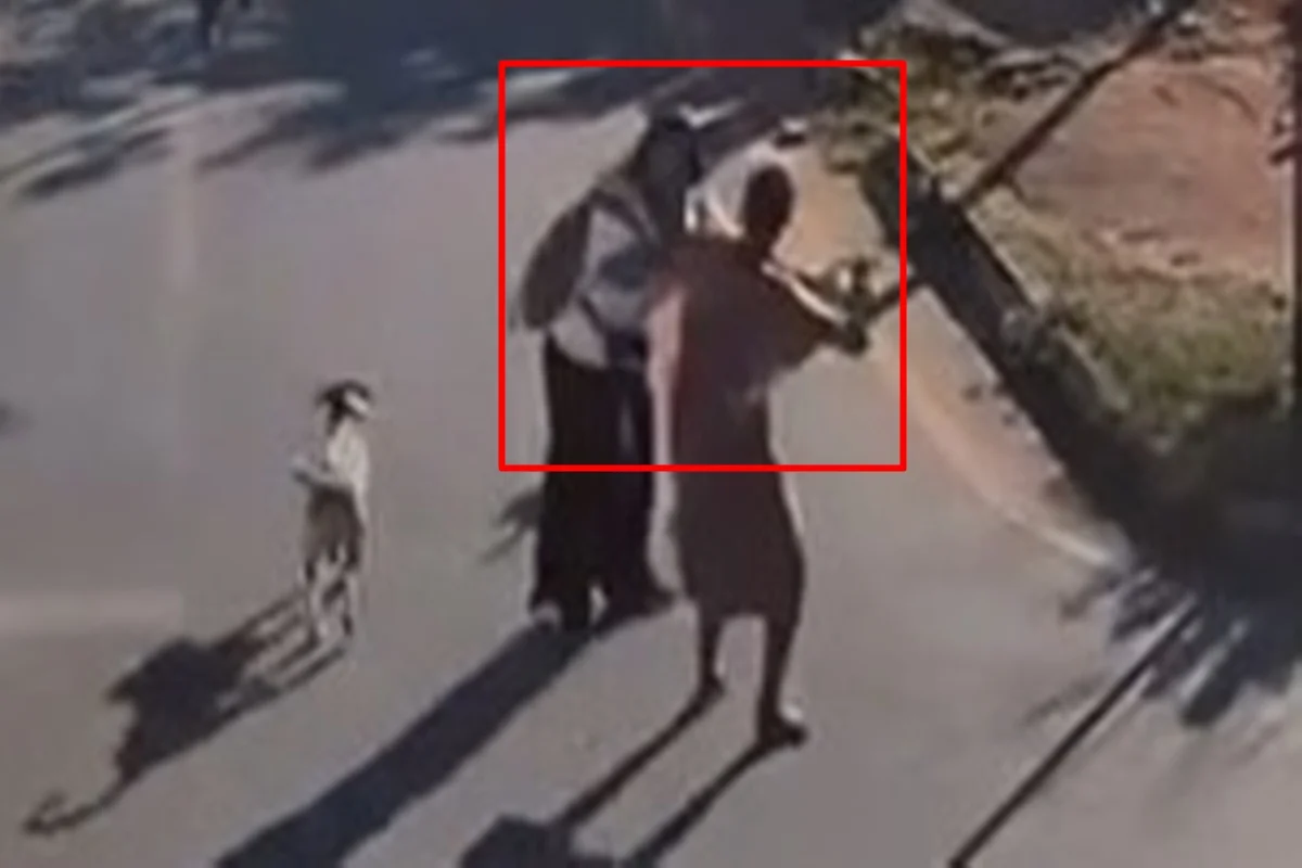 Feirante é agredida por mulher em situação de rua no DF