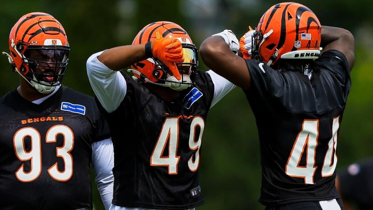 Bengals Linebackers Excel in Training Camp as Bold Defensive Experiment Shows Promise