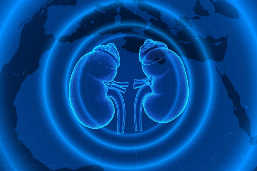Doença renal crônica: estudo revela subdiagnóstico alarmante no Brasil