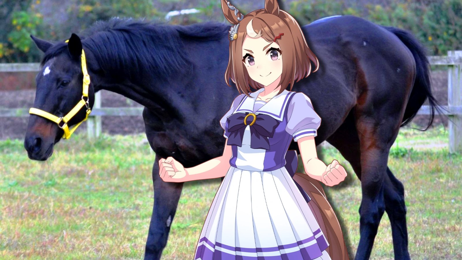 Real-Life Horse Tsurumaru Tsuyoshi Dies at 31, Inspiring Umamusume Character