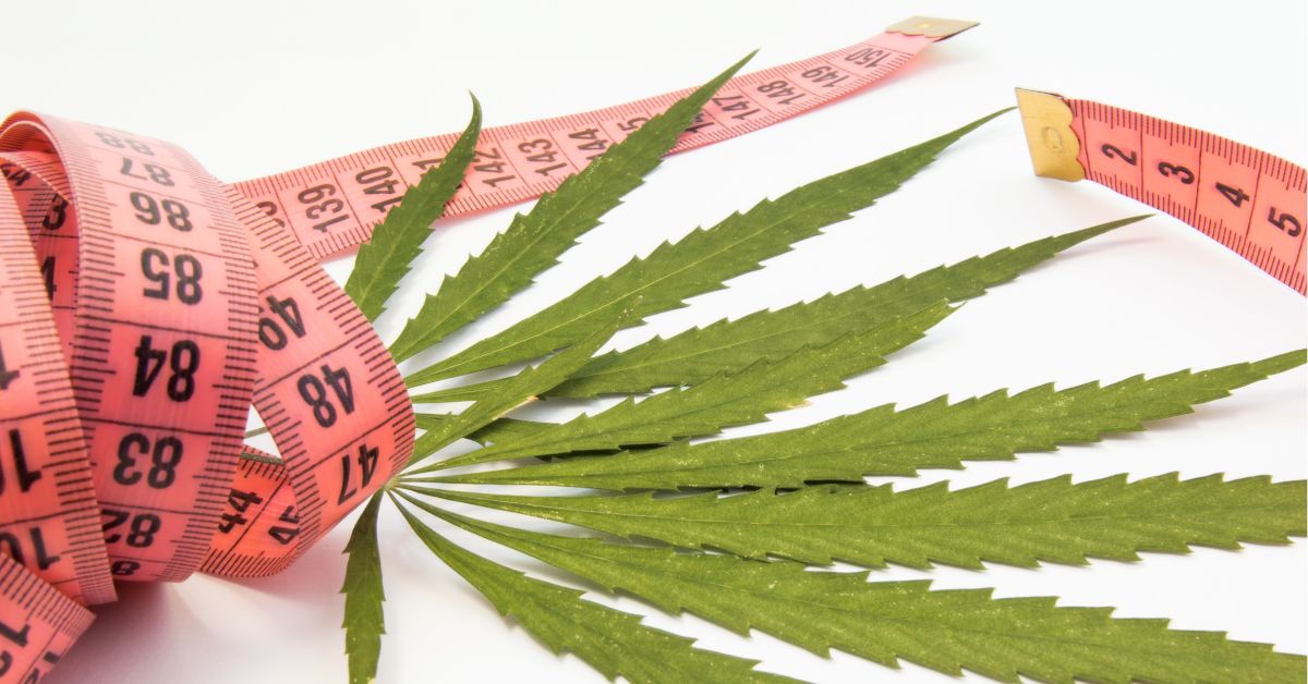 THCV: substância da cannabis pode ajudar na perda de peso?