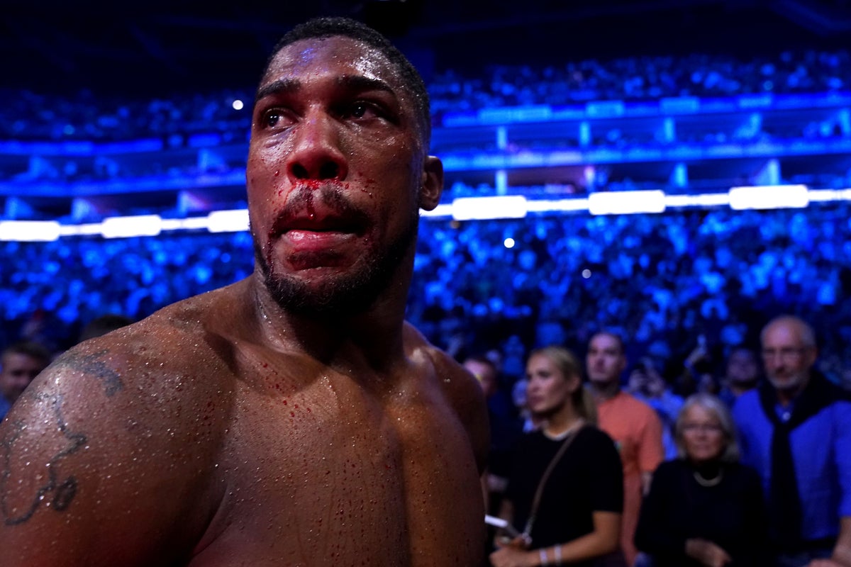 Anthony Joshua Bounces Back with Knockout Win Against Kristian Prenga