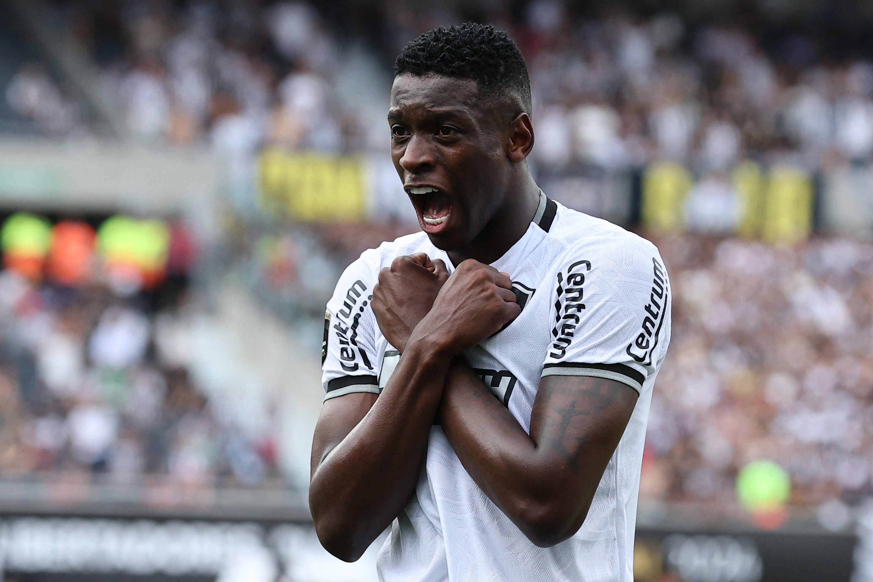 Torcedores do Botafogo criam campanha por volta de Luiz Henrique
