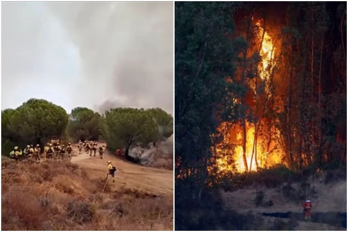 Incêndio na Espanha Força Evacuação de Mais de 400 Pessoas