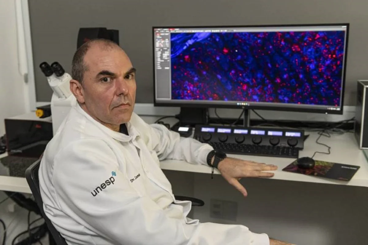Pela 1ª vez, brasileiro Leonardo Fraceto ganha honraria mundial de sociedade científica