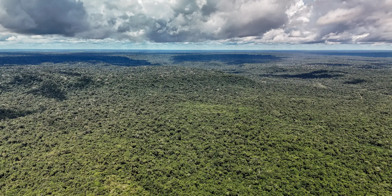 Fazenda autoriza US$ 1 bilhão do BID para Eco Invest Brasil e acelera transição ecológica