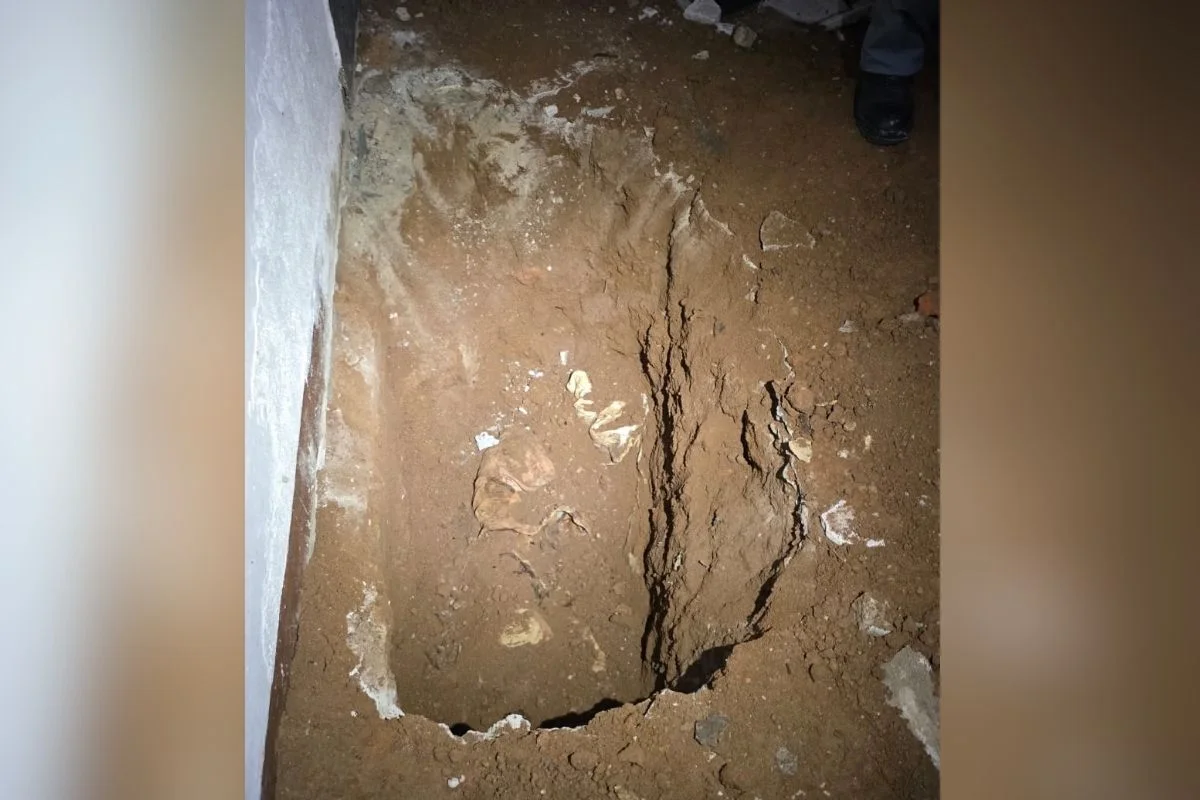 Casal é preso em Itaquera após matar e enterrar mulher em casa; eles ficaram com filho da vítima