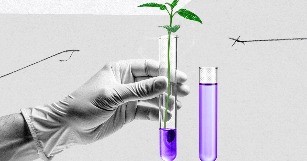 Multinacional Redesenha Fornecimento de Fertilizantes Ante Risco Geopolítico