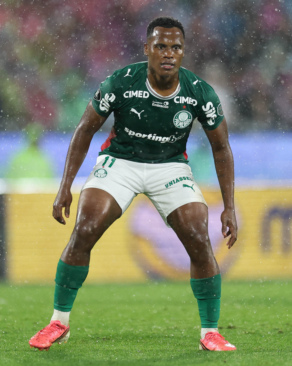 Jhon Arias minimiza críticas após vaga na Libertadores e projeta: 'Palmeiras vai brigar por tudo'