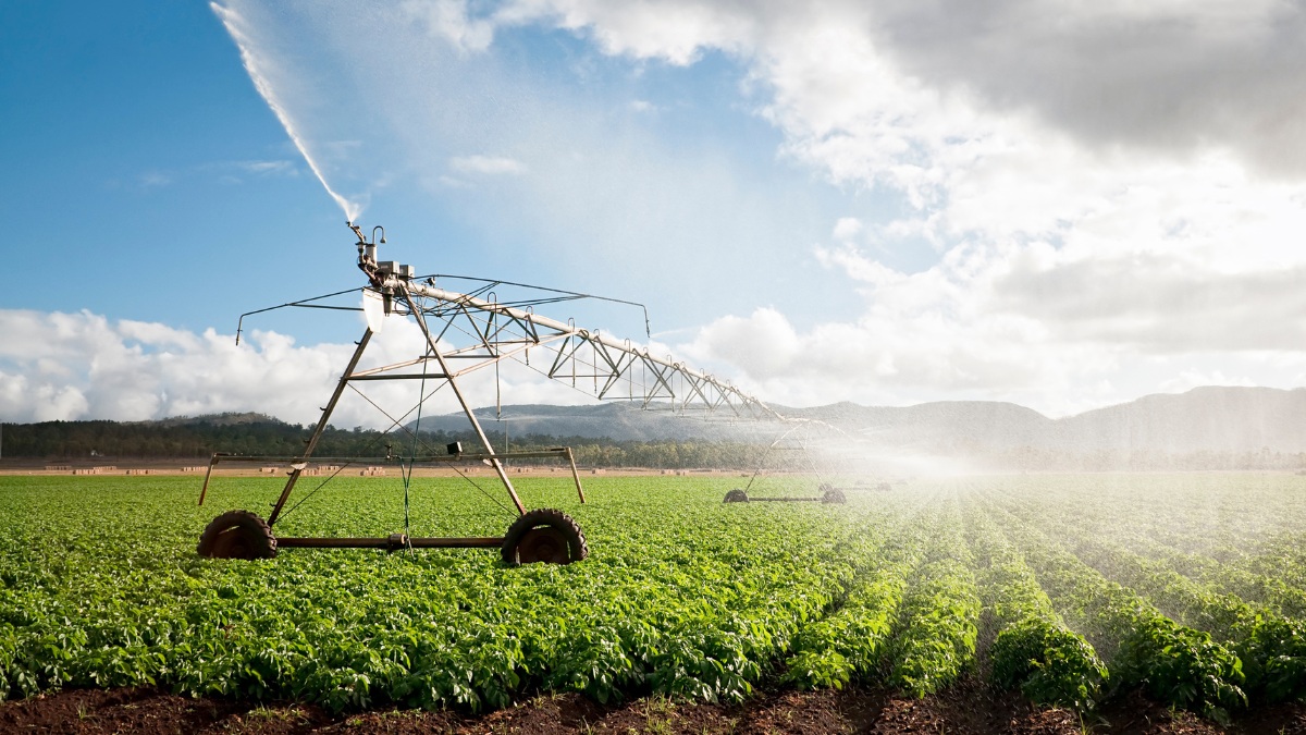 Fiagros: Nova Alternativa Para Investir no Agronegócio Sem Colocar a ‘Mão na Terra’