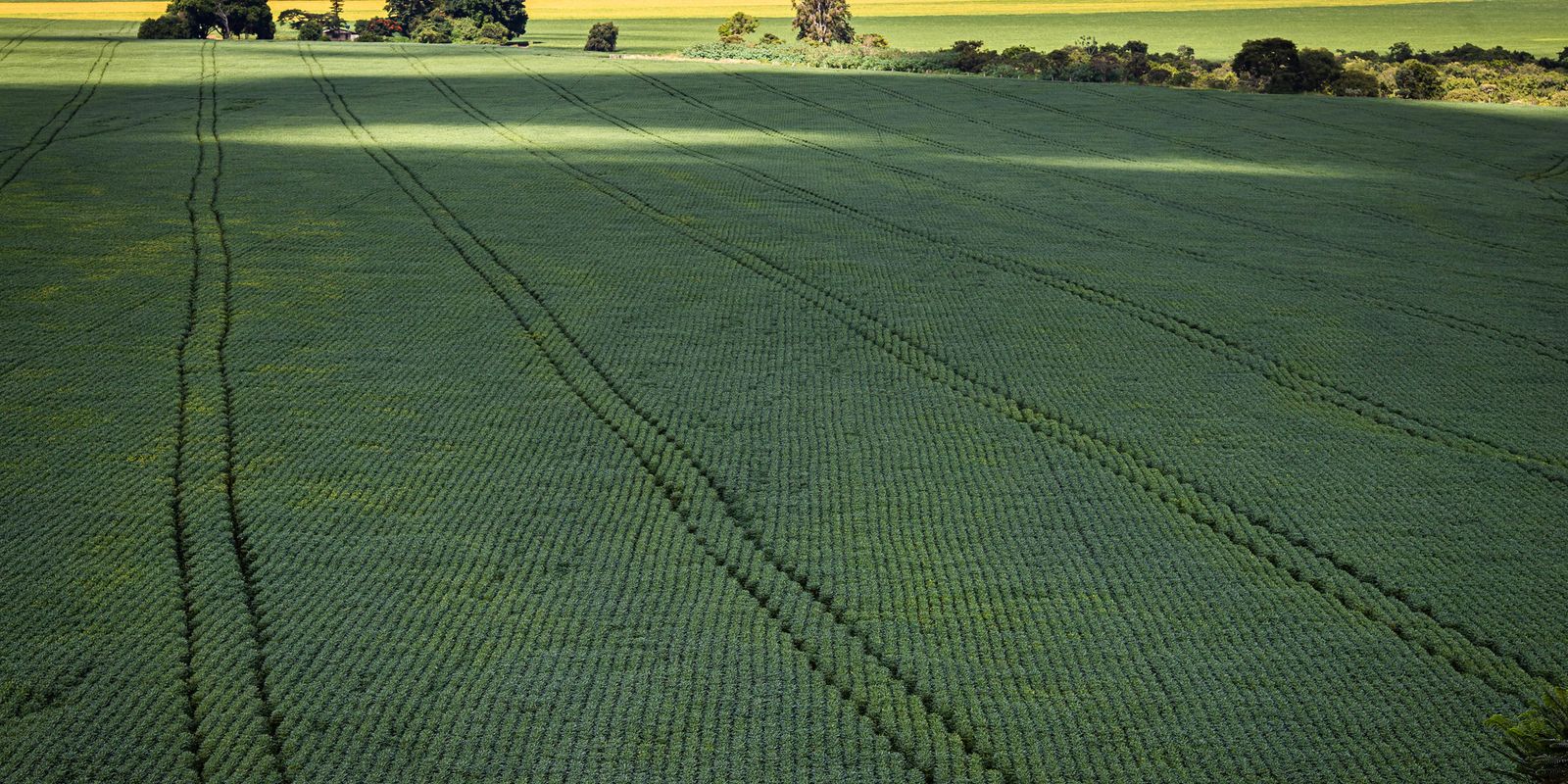 Senado aprova plano para produção de fertilizantes no Brasil
