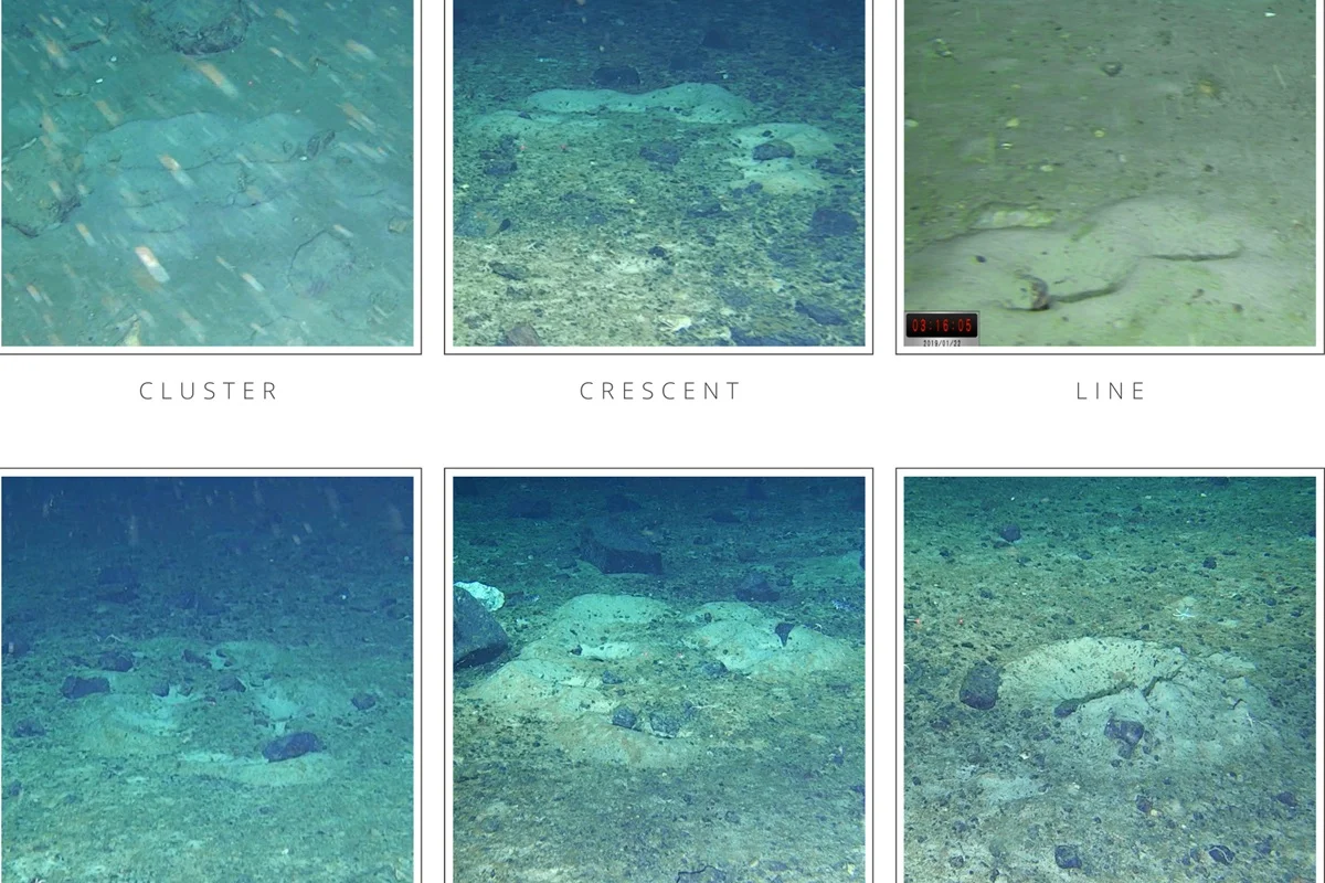 Cientistas Descobrem ‘Cidade de Peixes’ Bem no Fundo do Mar da Antártida