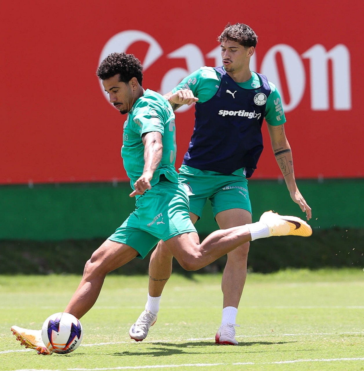 Palmeiras entra em semana decisiva da Libertadores com dúvida sobre substituto de Andreas