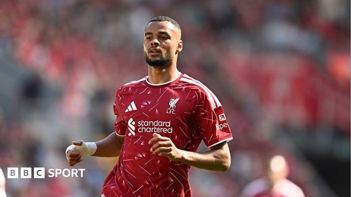 Tottenham Target Liverpool Forward Cody Gakpo for Strengthening Winger Lineup