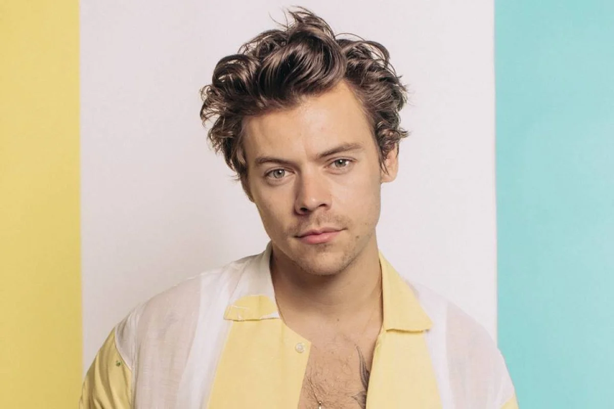 Show de Harry Styles em São Paulo é cancelado por 'problema de saúde'